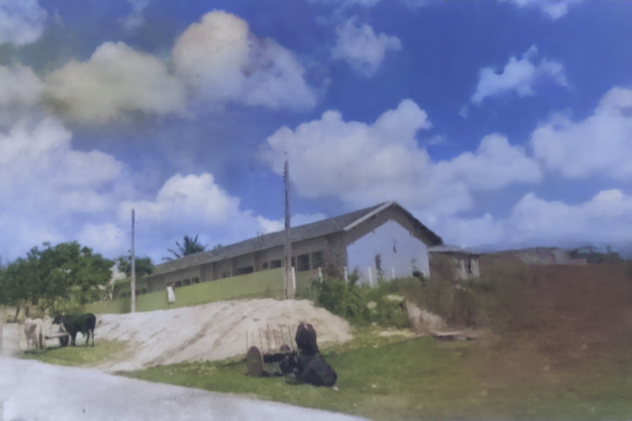 Rua Principal - 1950